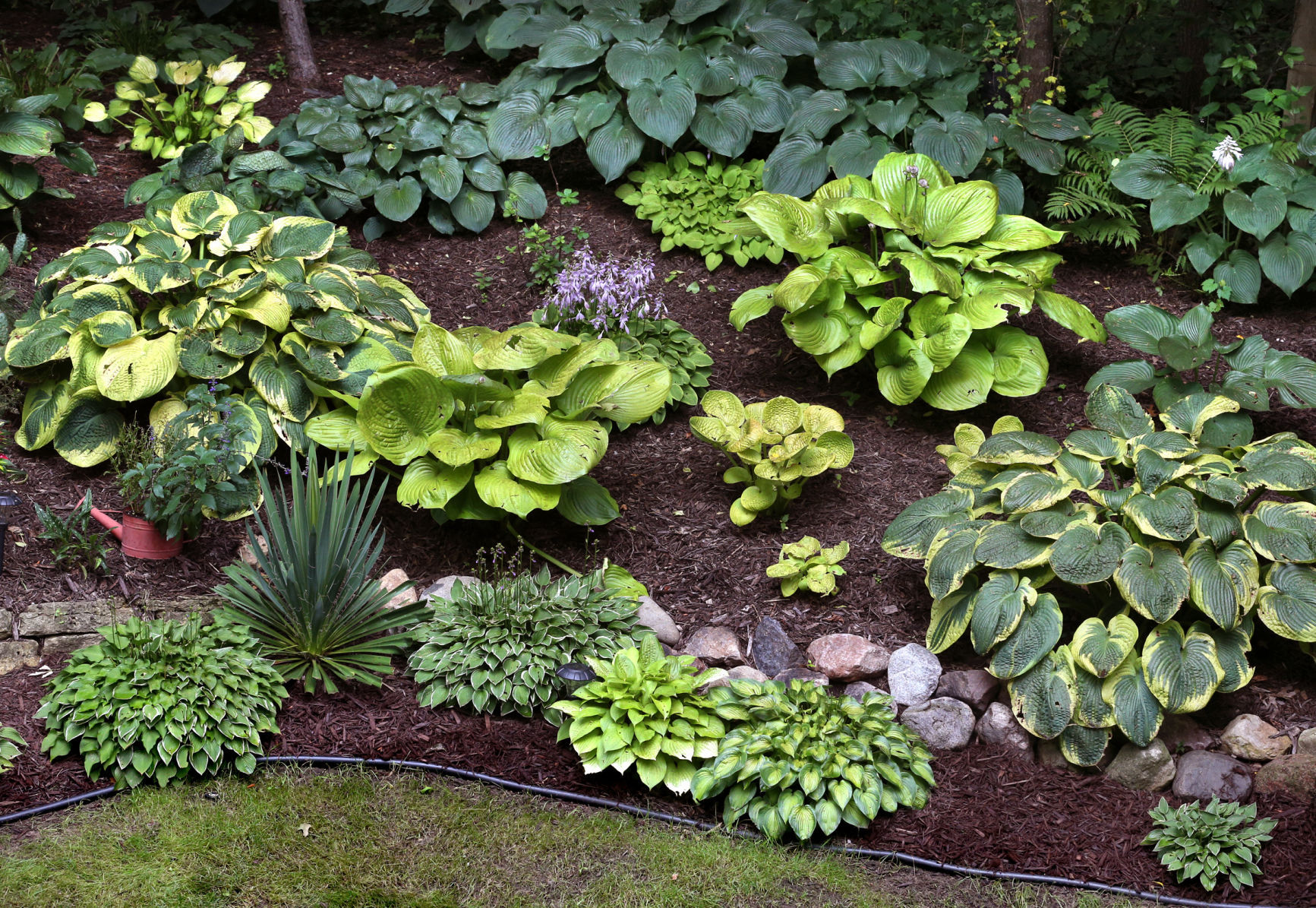 Tanke Garden 1